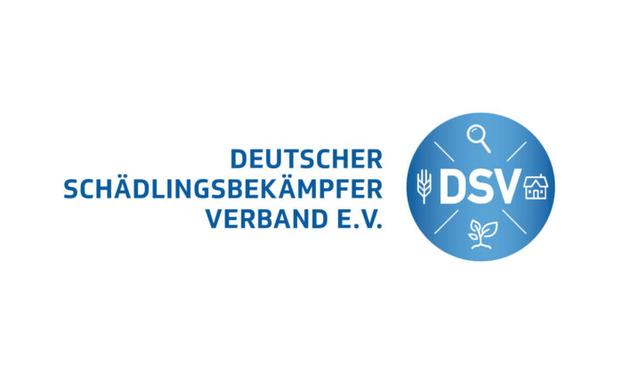 DSV Logo